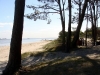 La Playa - The Beach