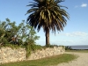 Colonia