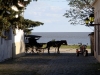 Horse and Buggy
