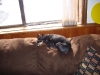 dsc00029.jpg