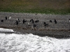 IMG_1484.JPG