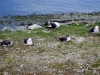IMG_1535.JPG