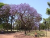 DSC00878.JPG